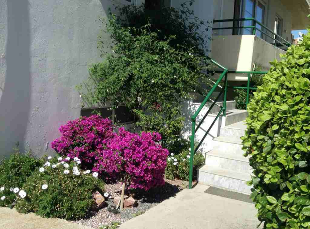 Anita Aparthotel Ialisos Exterior foto